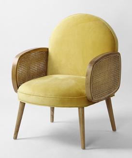 leisrue rattan arm chair